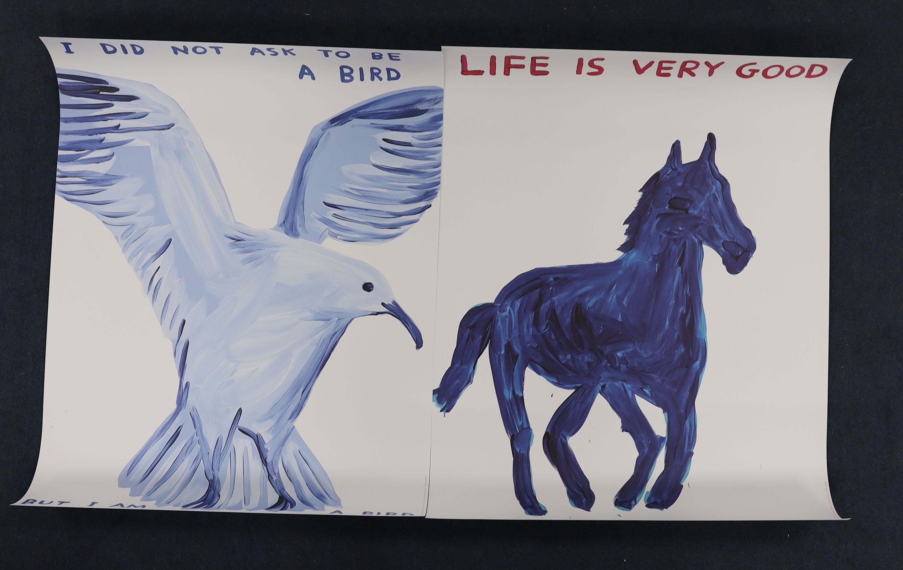 David Shrigley (1968-), two colour prints, 'Life is very good' and 'I did not ask to be a bird', 80 x 60cm, unframed
